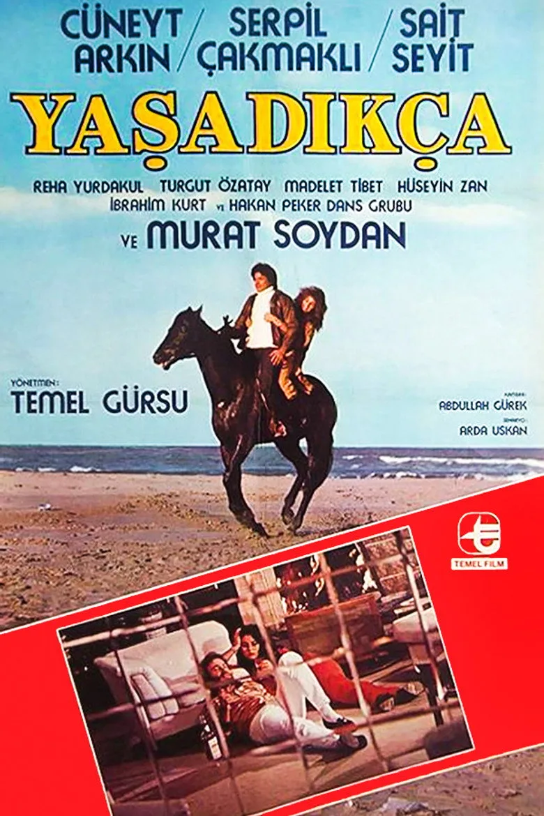 Yaşadıkça posteri