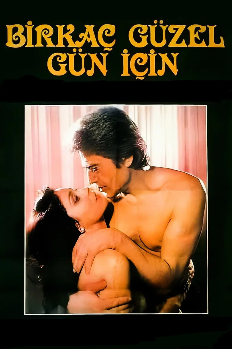 Birkaç Güzel Gün İçin posteri