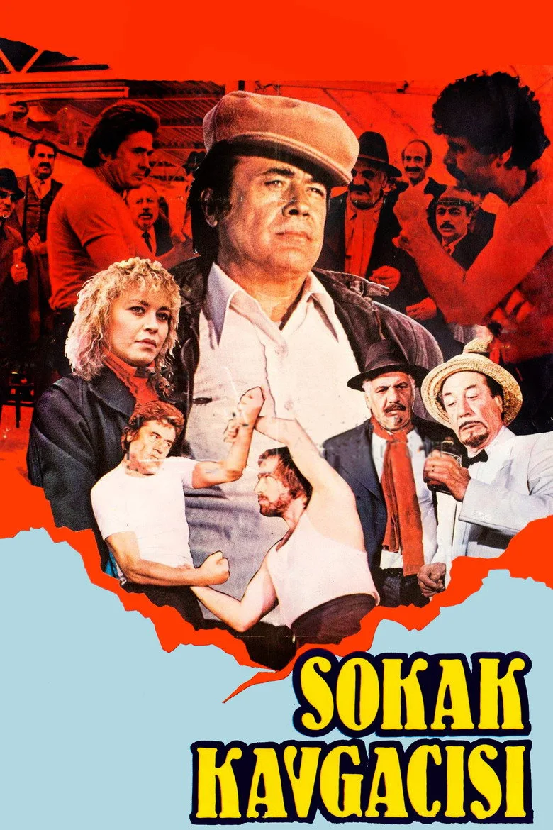 Sokak Kavgacısı posteri
