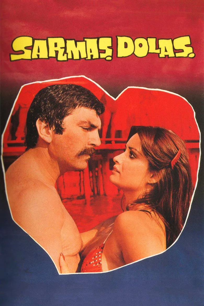 Sarmaş Dolaş posteri