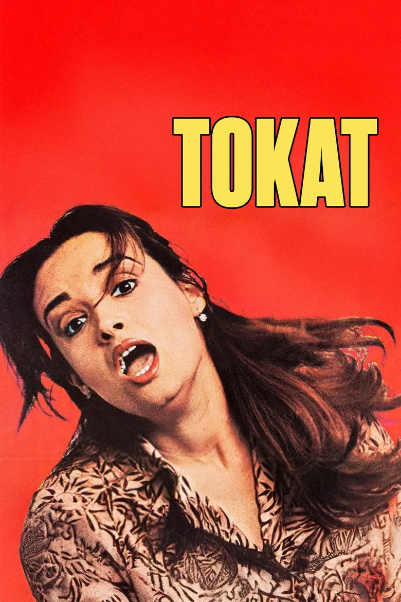 Tokat posteri