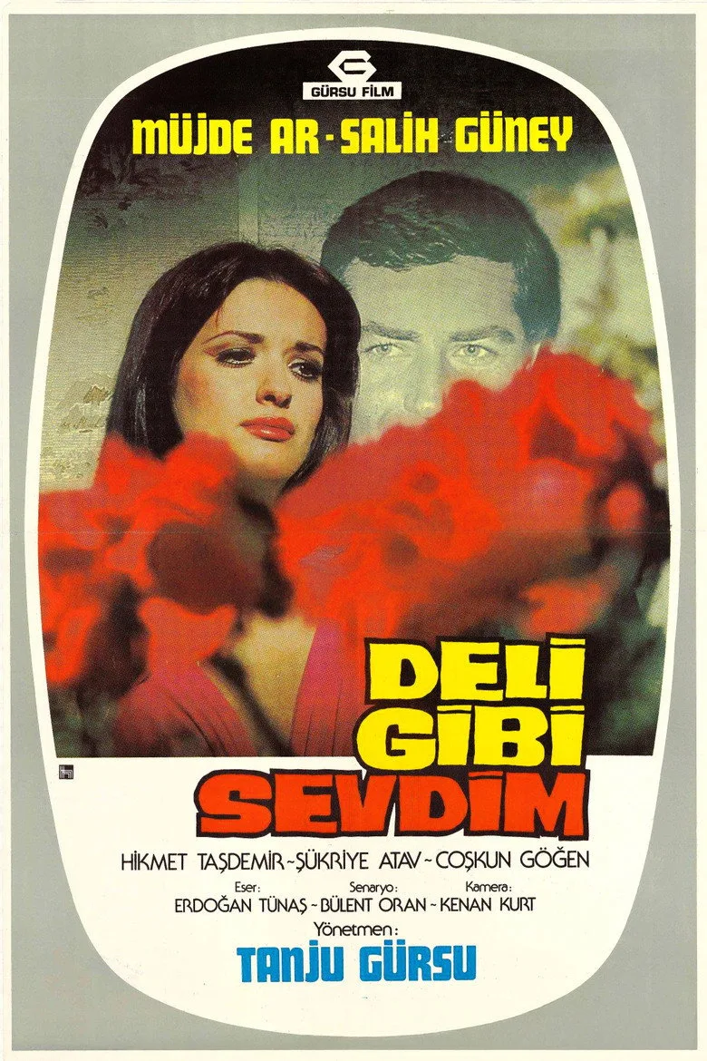 Deli Gibi Sevdim posteri