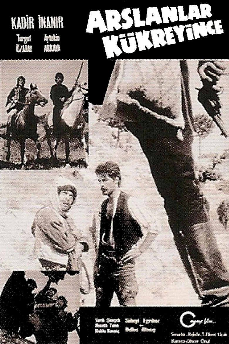 Aslanlar Kükreyince posteri