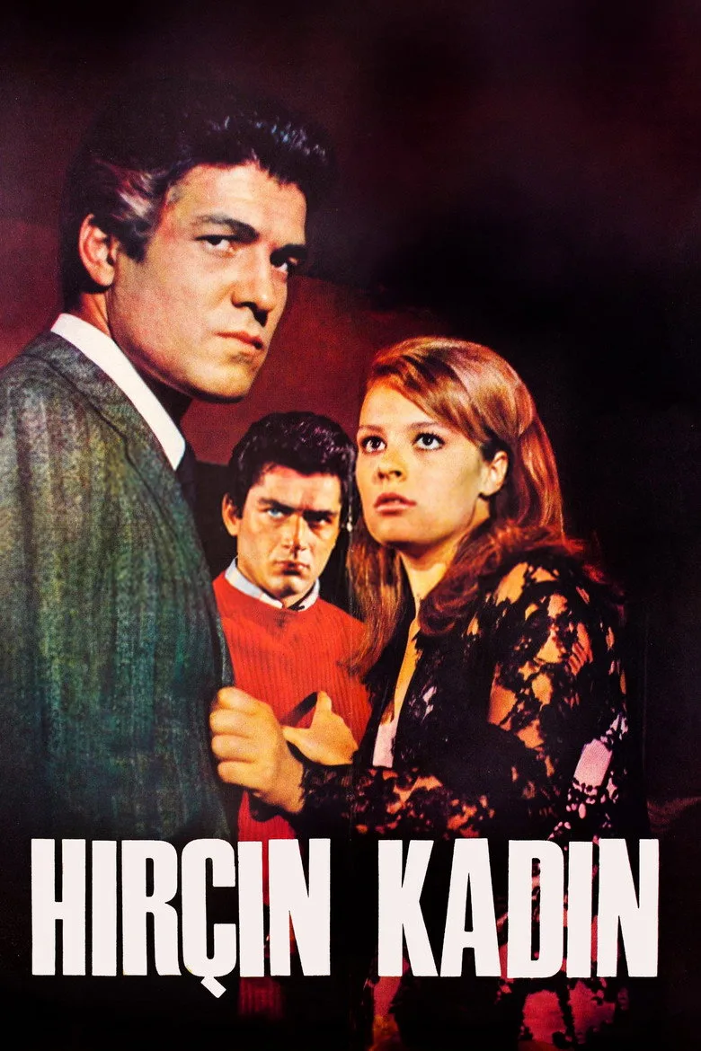 Hırçın Kadın posteri