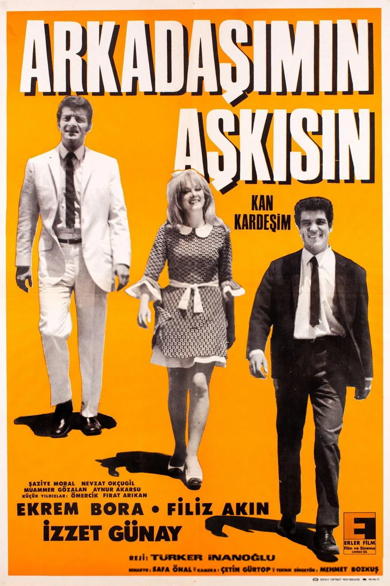 Arkadaşımın Aşkısın posteri