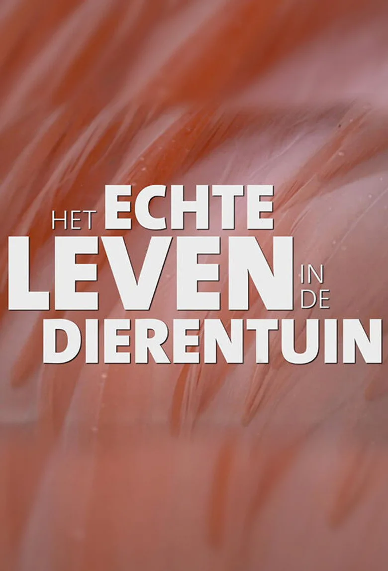 Het echte leven in de dierentuin posteri