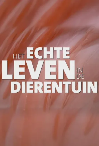 Постер Het echte leven in de dierentuin