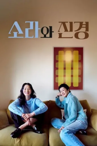 Постер 소라와 진경