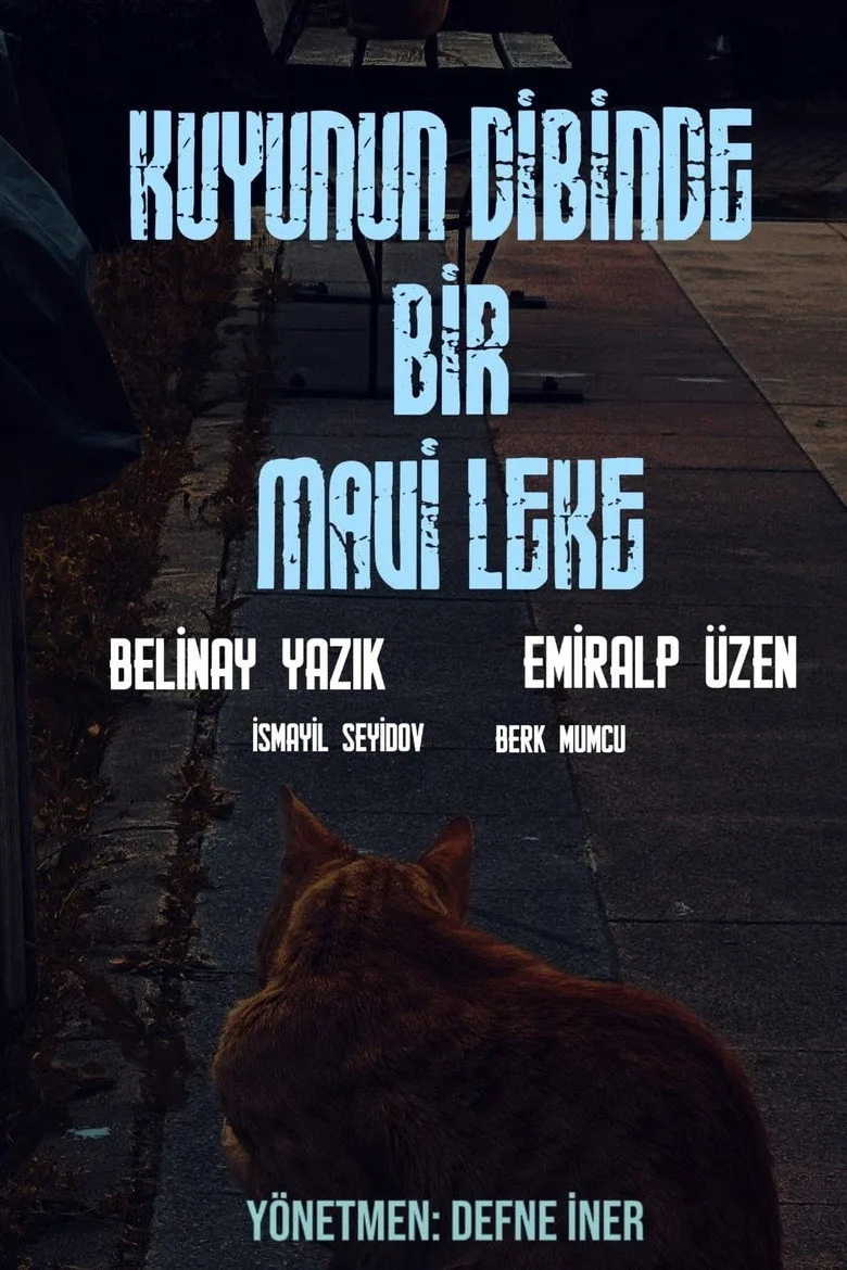 Kuyunun Dibinde Bir Mavi Leke poster