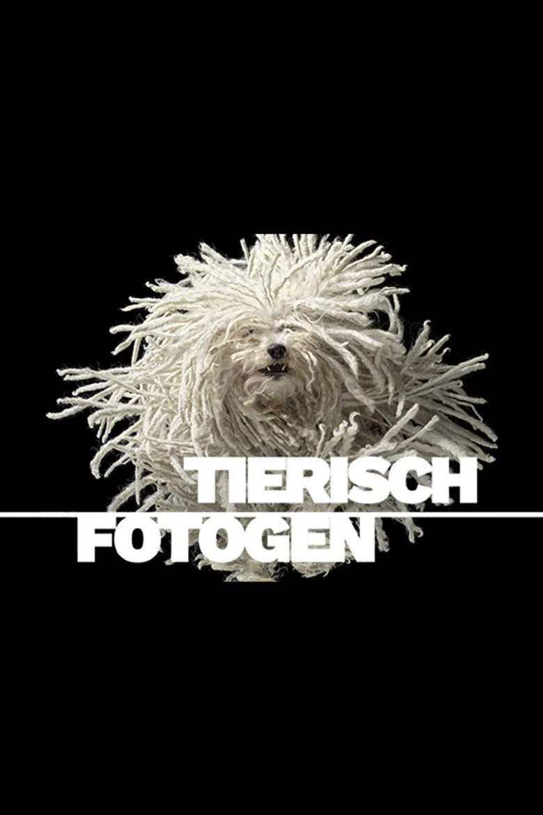 Tierisch fotogen posteri