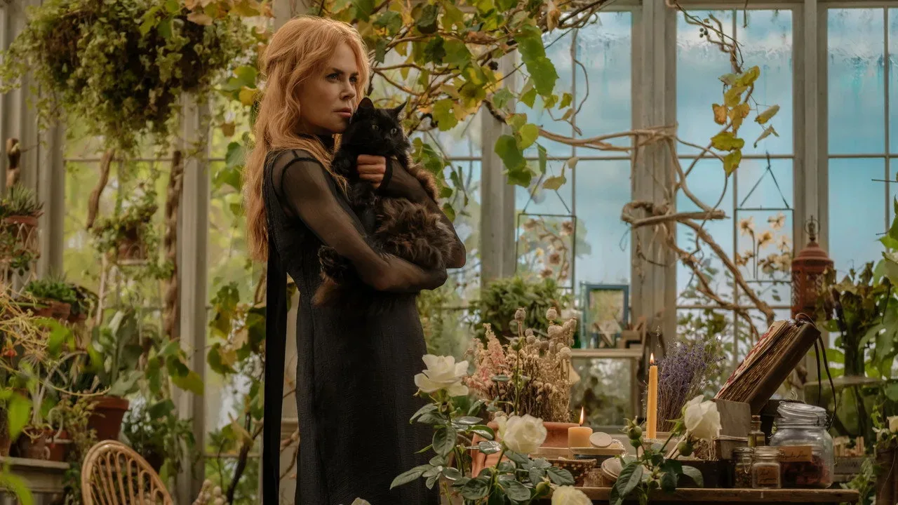 خلفية لـ Practical Magic 2
