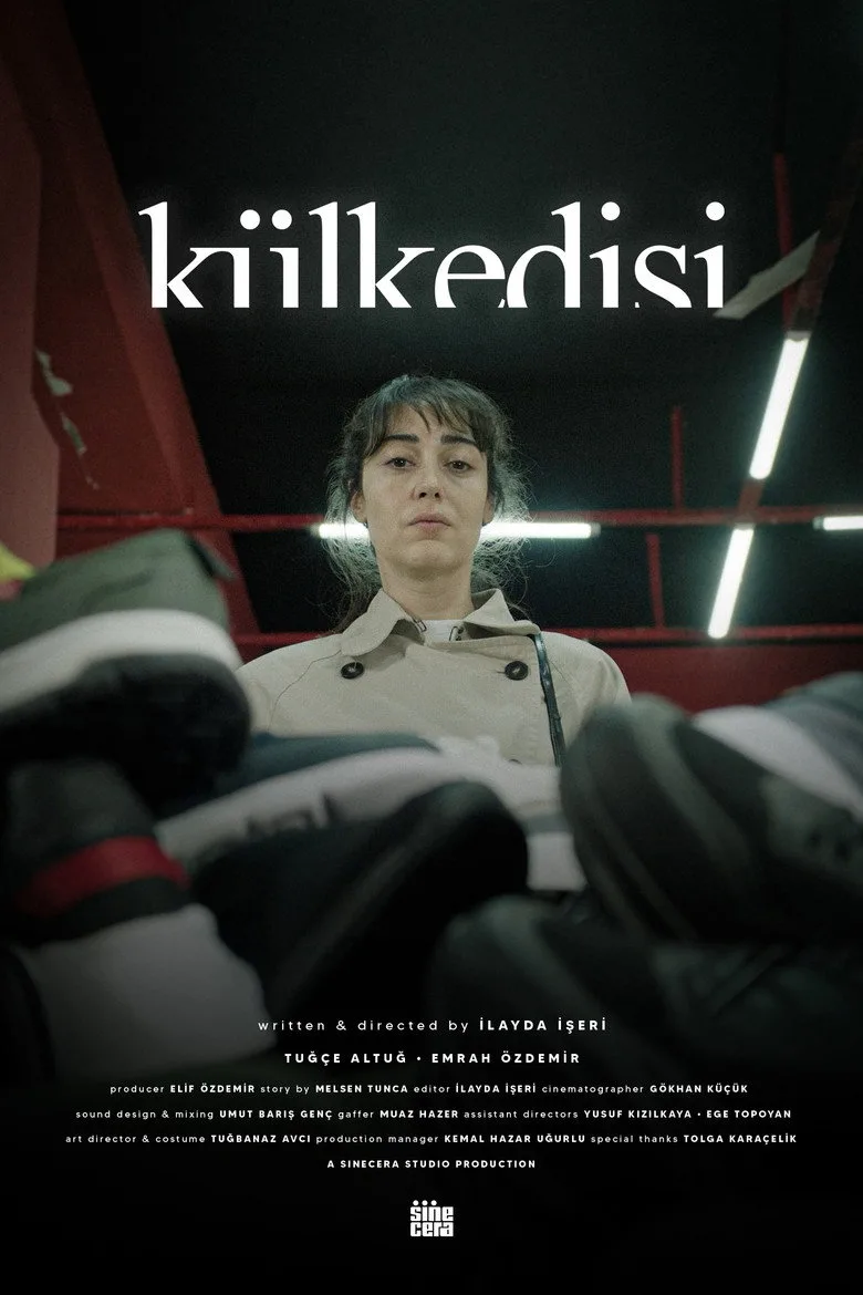 Külkedisi poster