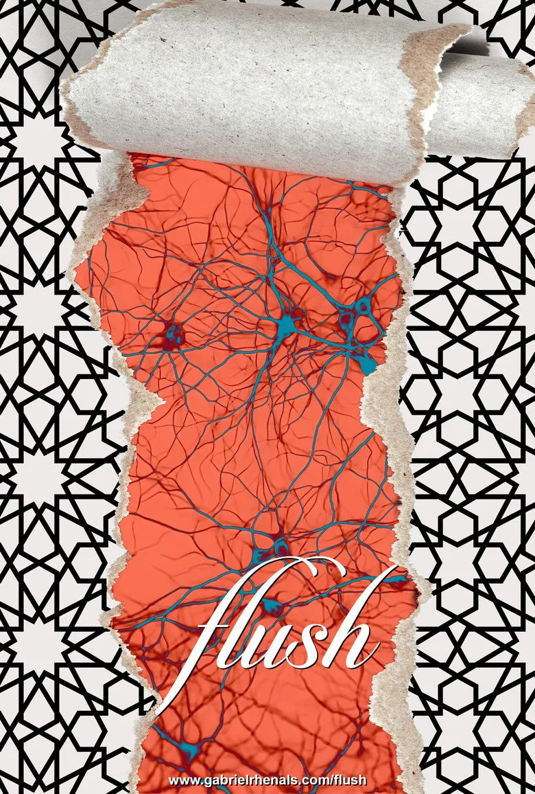 Flush posteri
