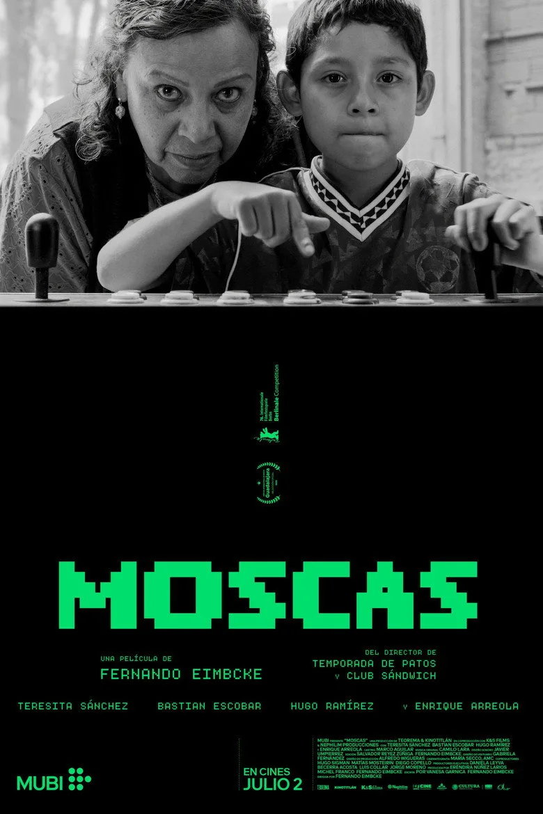 Moscas poster