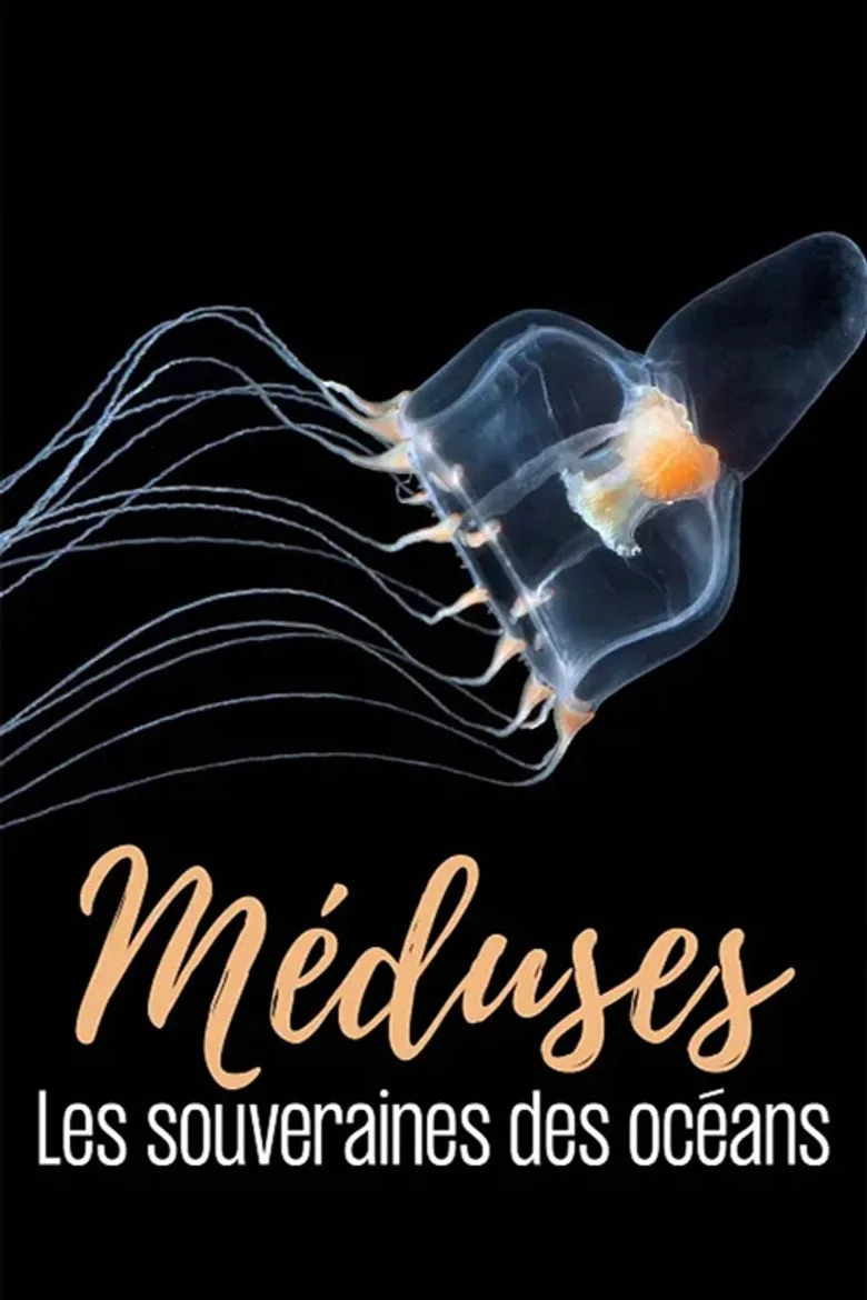 Méduses les souveraines des océans posteri
