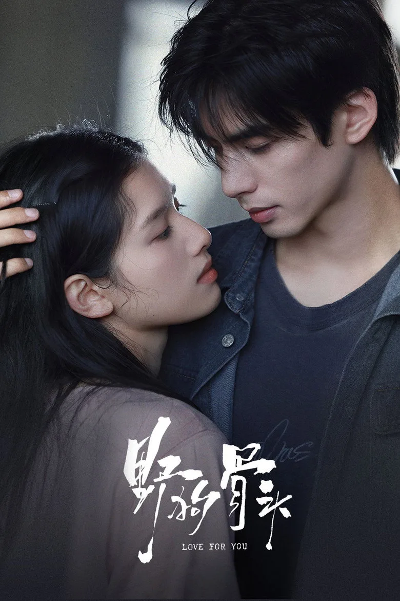 Love For You poster