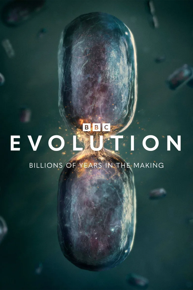 póster de Evolution