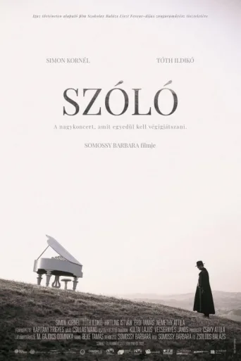 Poster for Szóló