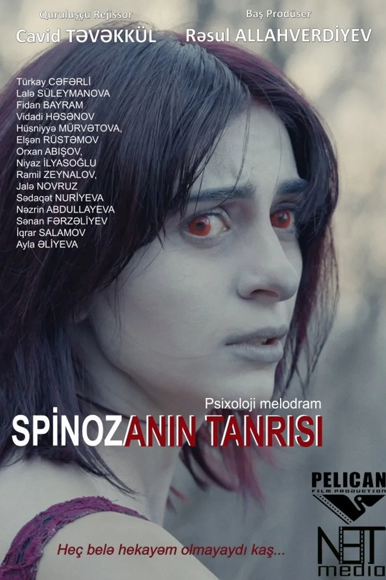 póster de Spinozanın Tanrısı