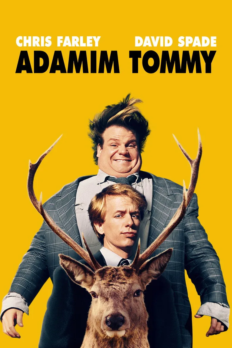 Credit poster