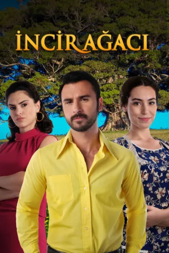 İncir Ağacı afişi