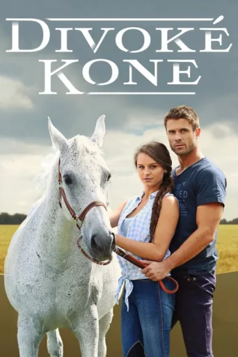 Poster for Divoké kone