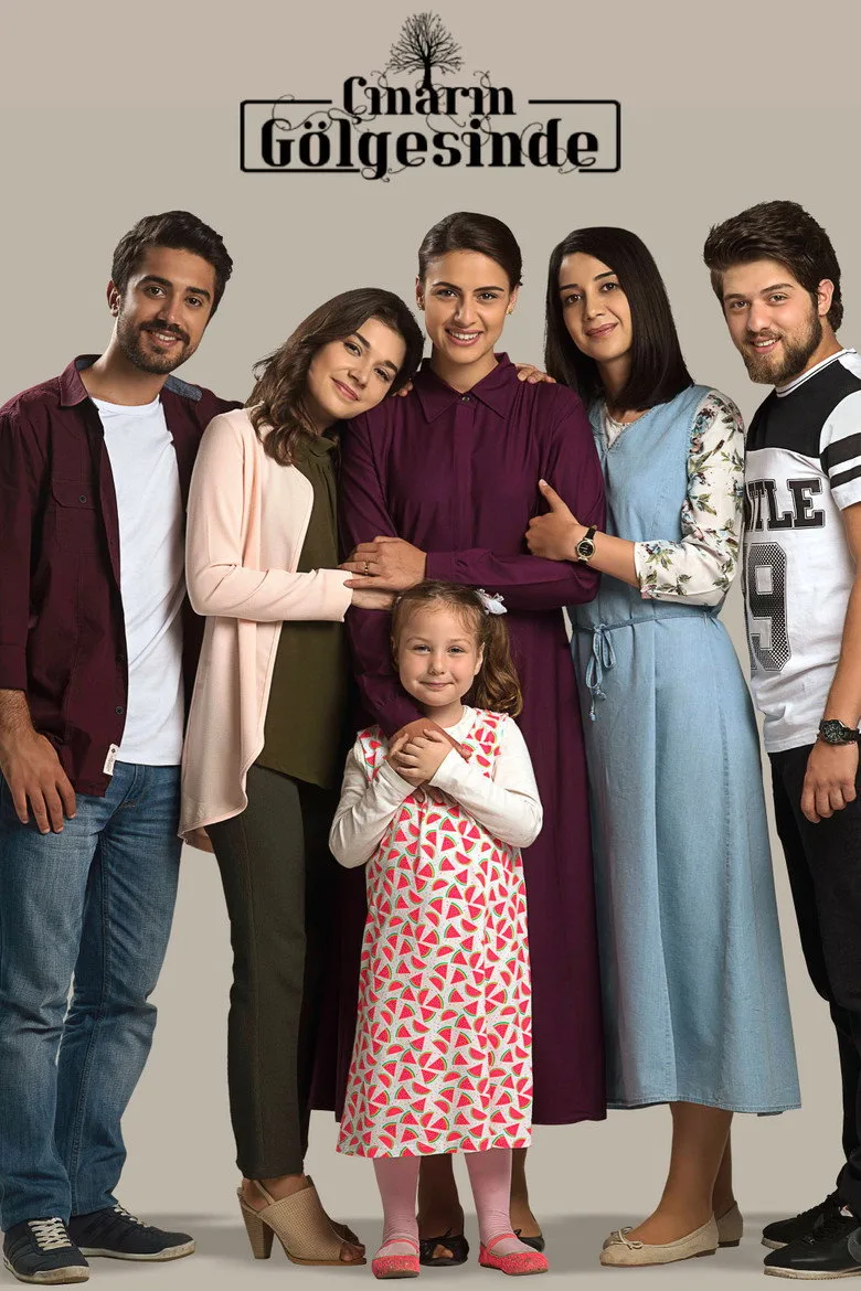 Çınarın Gölgesinde poster