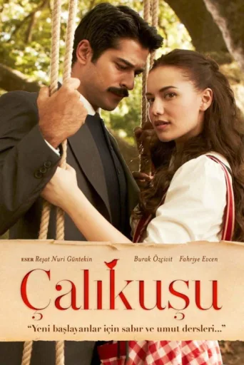 Постер Çalıkuşu
