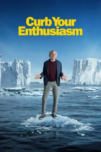 Curb Your Enthusiasm afişi