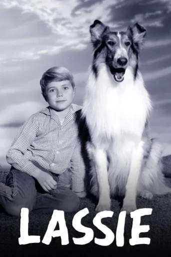 Póster de Lassie
