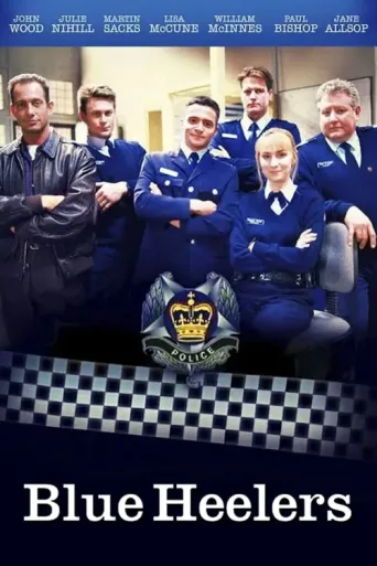 Постер Blue Heelers