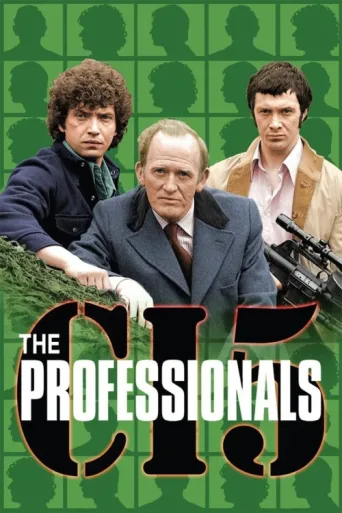 Постер The Professionals
