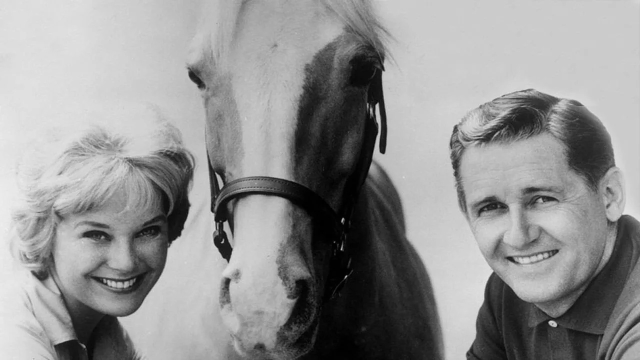 Backdrop for Mister Ed
