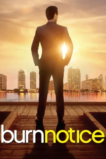 Постер Burn Notice
