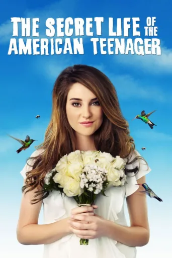 Póster de The Secret Life of the American Teenager