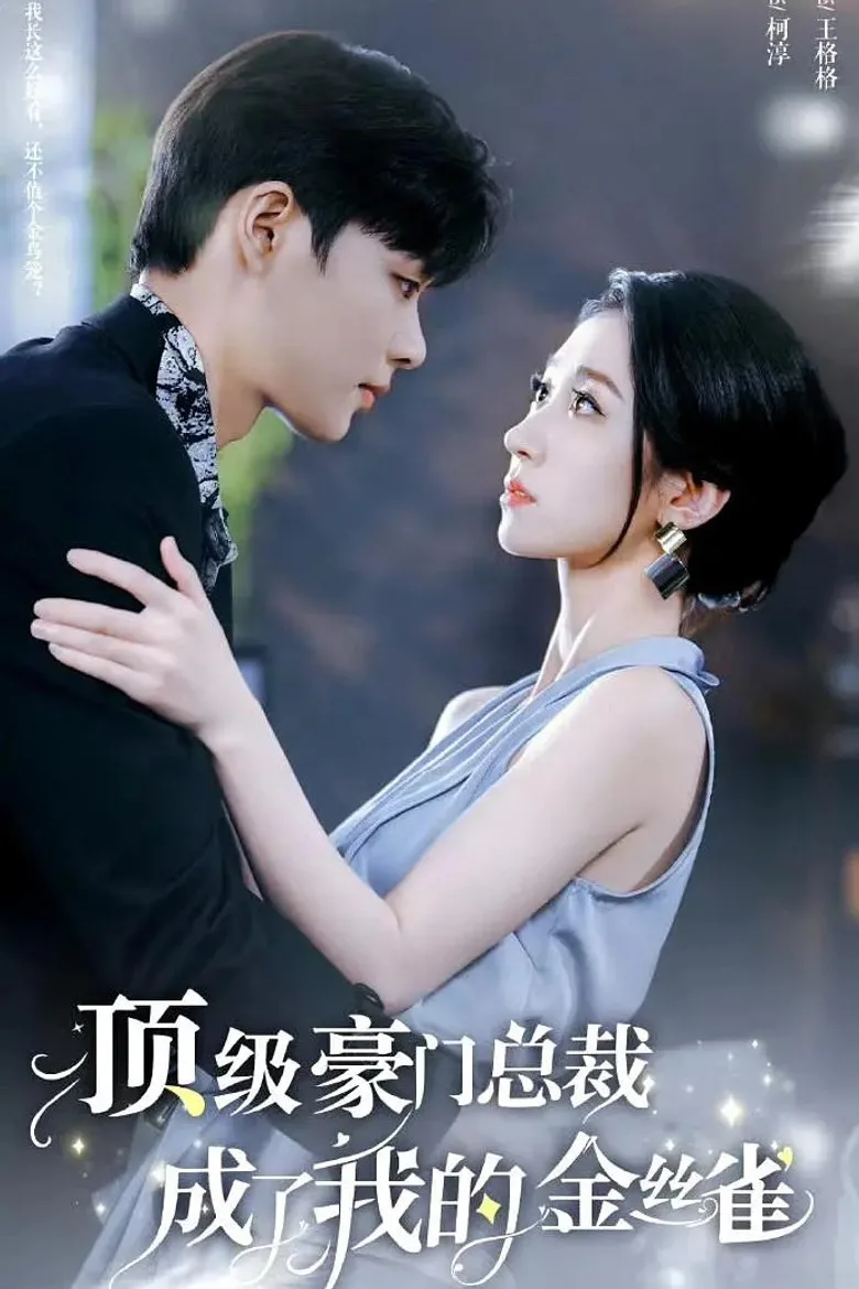顶级豪门总裁成了我的金丝雀 posteri