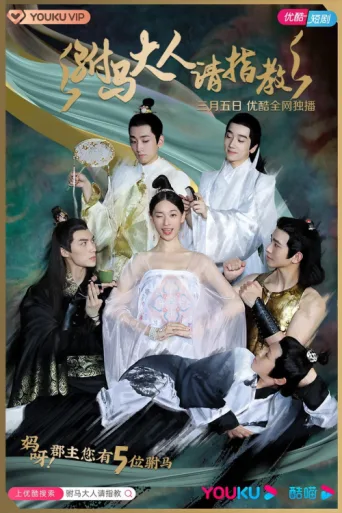 Princess! You have Five Husbands! afişi