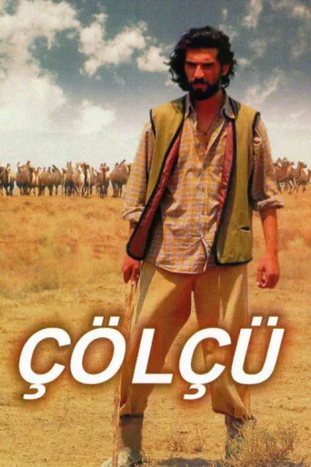 ملصق Çölçü