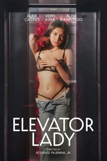 Póster de Elevator Lady