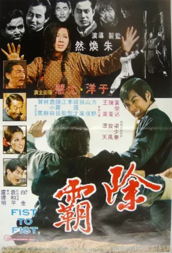 Póster de Fist to Fist
