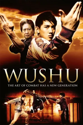 Póster de Wushu