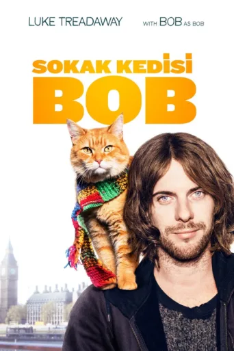 Sokak Kedisi Bob afişi